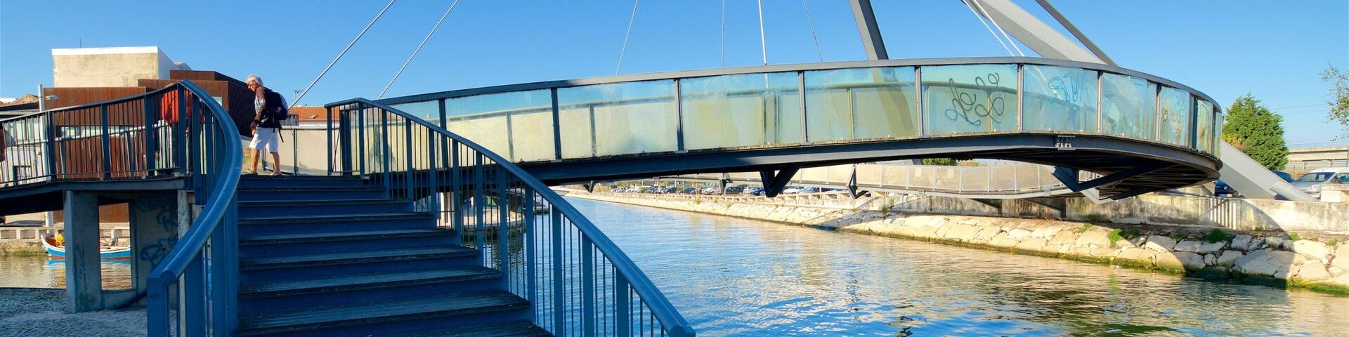 Circular Pedestrian Bridge showing a bridge and a river or creek