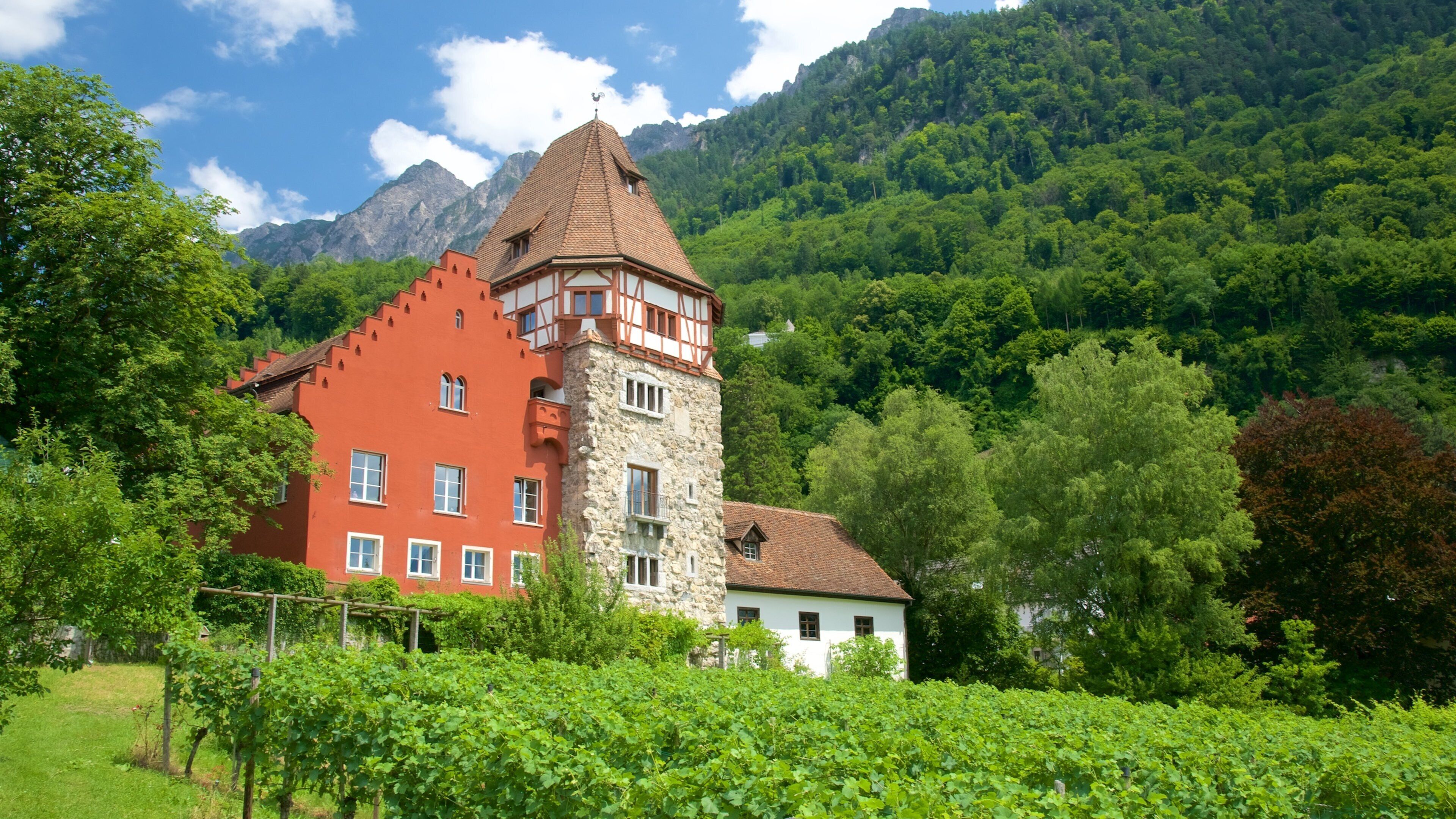 Vaduz featuring mountains, a house and farmland
