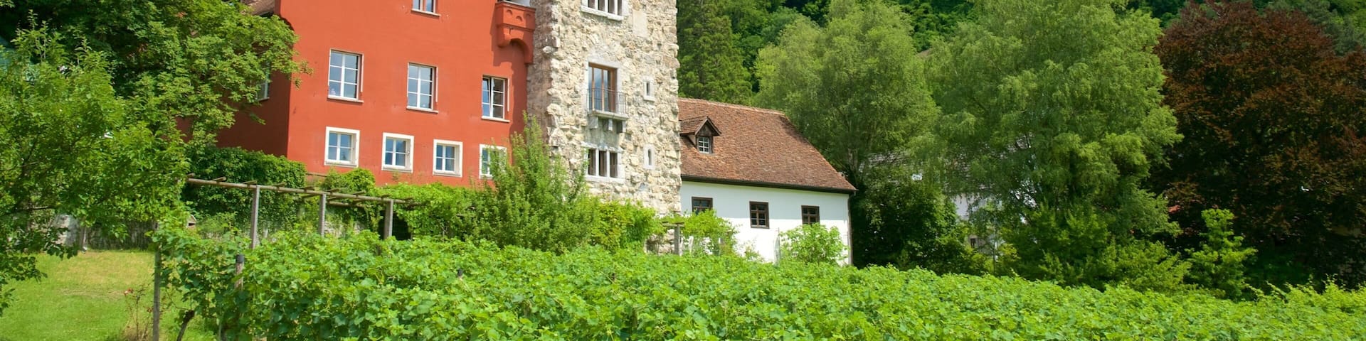 Vaduz which includes mountains, farmland and tranquil scenes