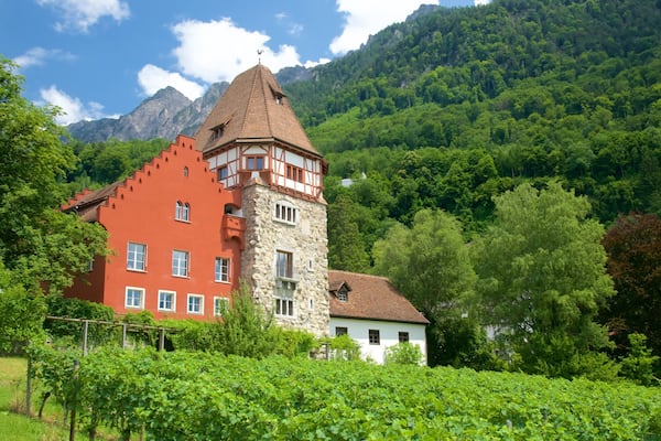 Vaduz featuring mountains, a house and farmland