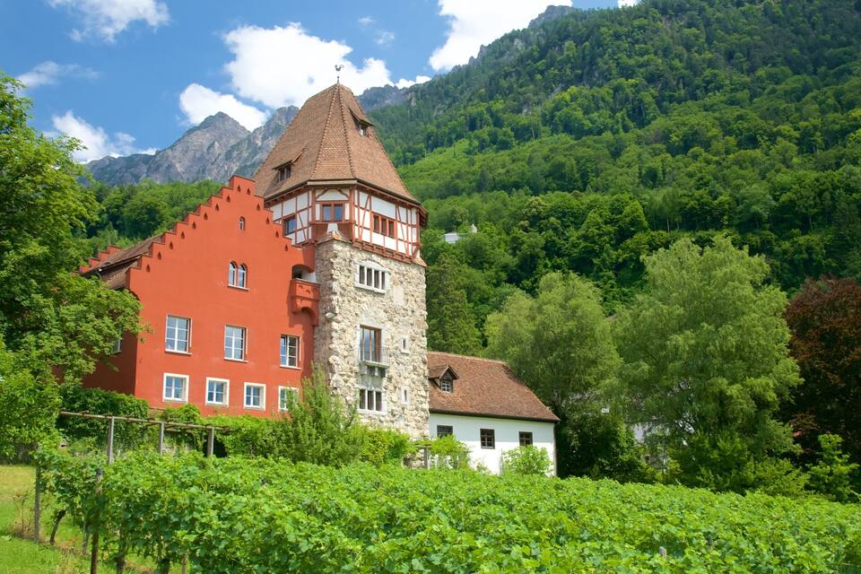 Edifici vermell i blanc amb una torre, envoltat de vegetació abundant i muntanyes.