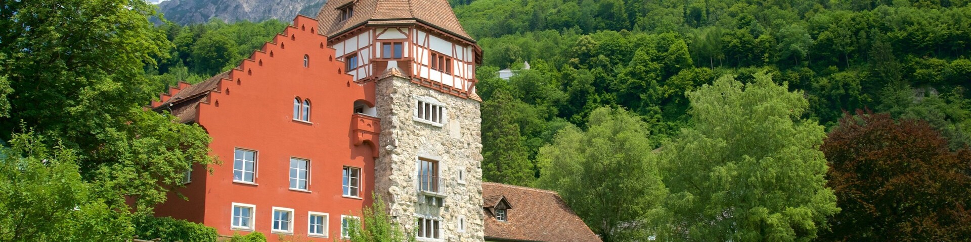 Vaduz ofreciendo situaciones tranquilas, montañas y tierra de cultivo