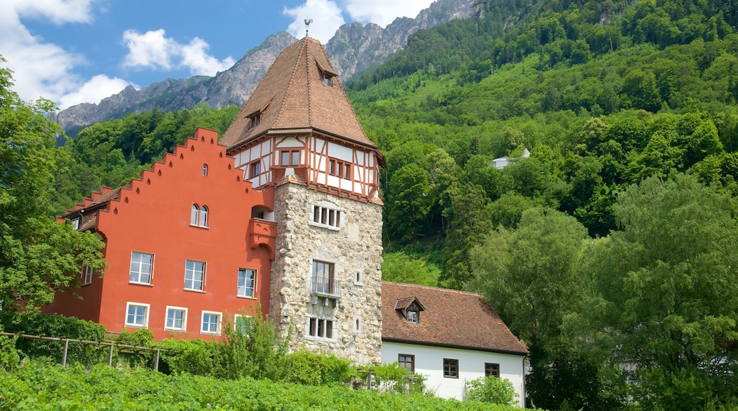 Vaduz which includes tranquil scenes, mountains and heritage elements