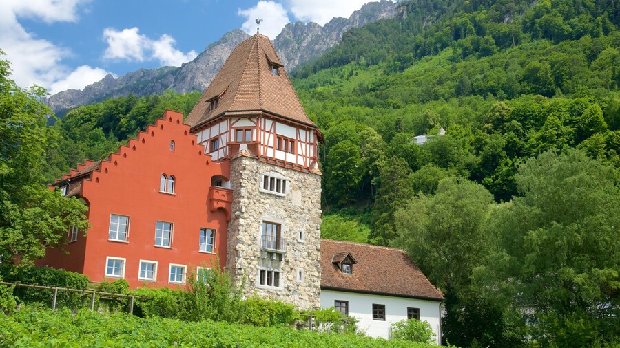 Vaduz which includes mountains, heritage elements and tranquil scenes