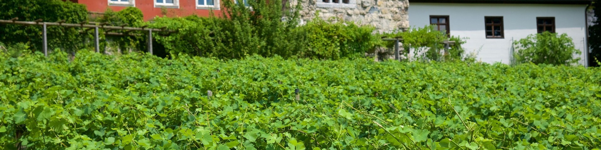 Vaduz which includes a house and farmland