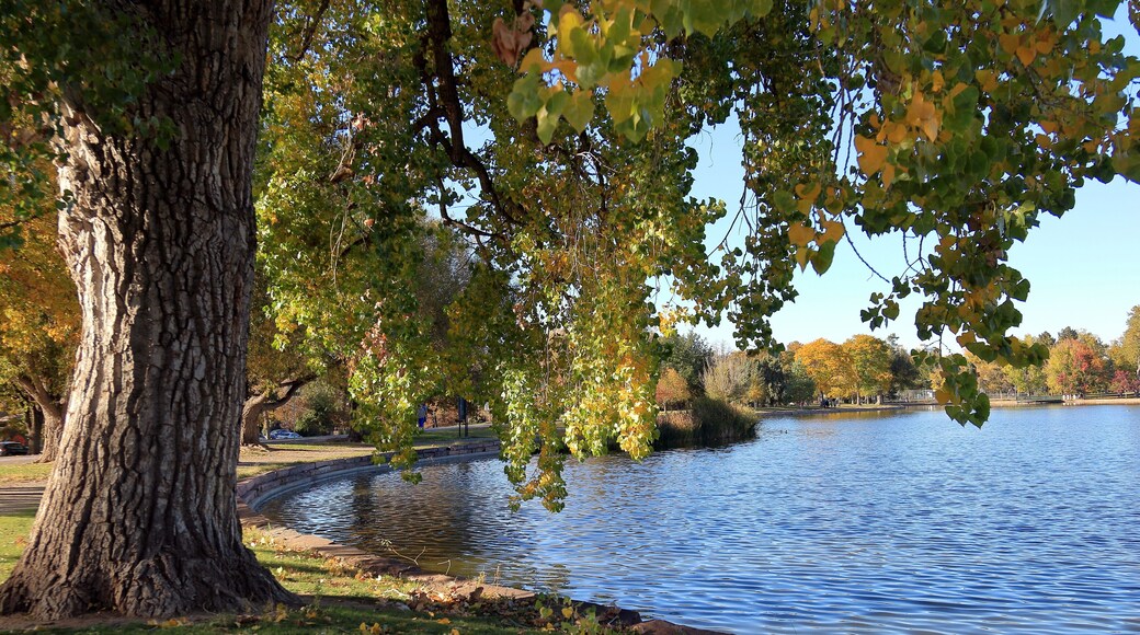 Washington Park West