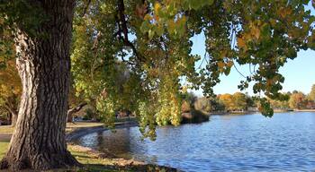 Fall foliage colors at Washington Park by the lake in Denver, Colorado, in Autumn Season