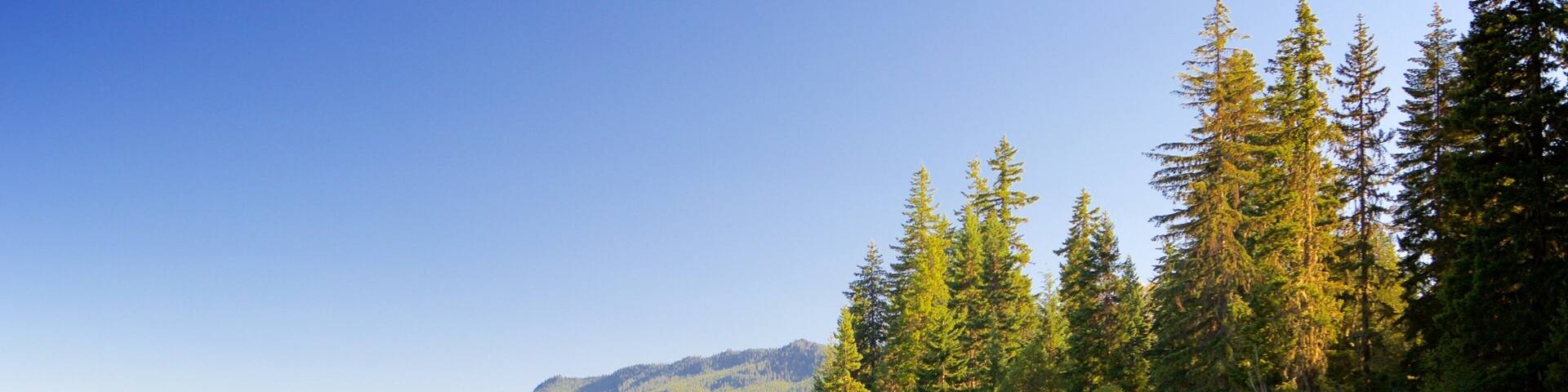 Washington que incluye un lago o abrevadero, una playa de arena y escenas forestales