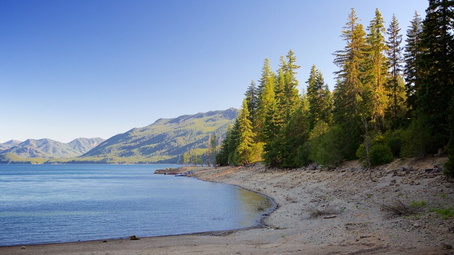 Central Washington which includes forest scenes, a sandy beach and a lake or waterhole