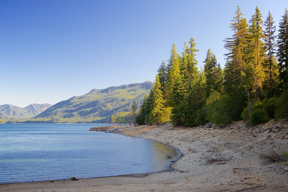 A beach with a calm lake, surrounded by dense forest and mountains.