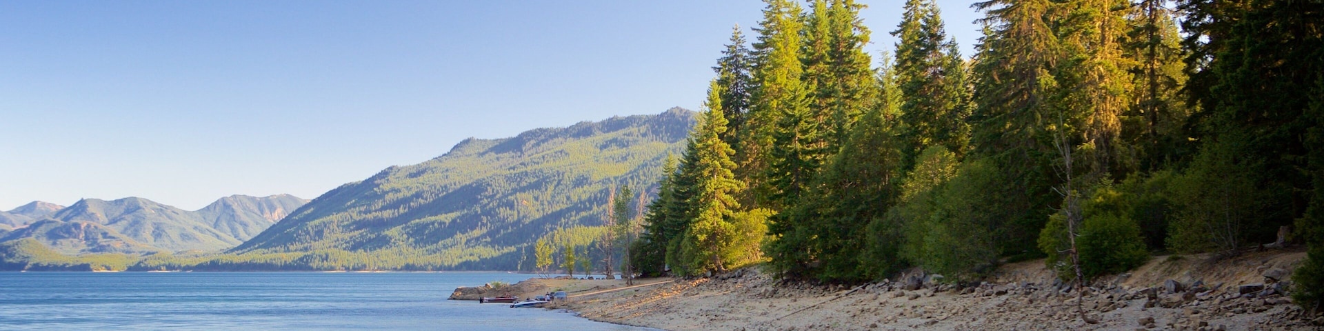 Washington mostrando imágenes de bosques, una playa y un lago o espejo de agua