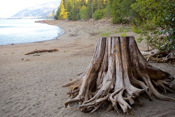 Central Washington showing a beach