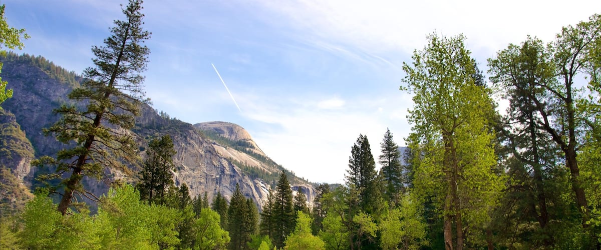 Parque Nacional Yosemite mostrando un río o arroyo, montañas y escenas tranquilas