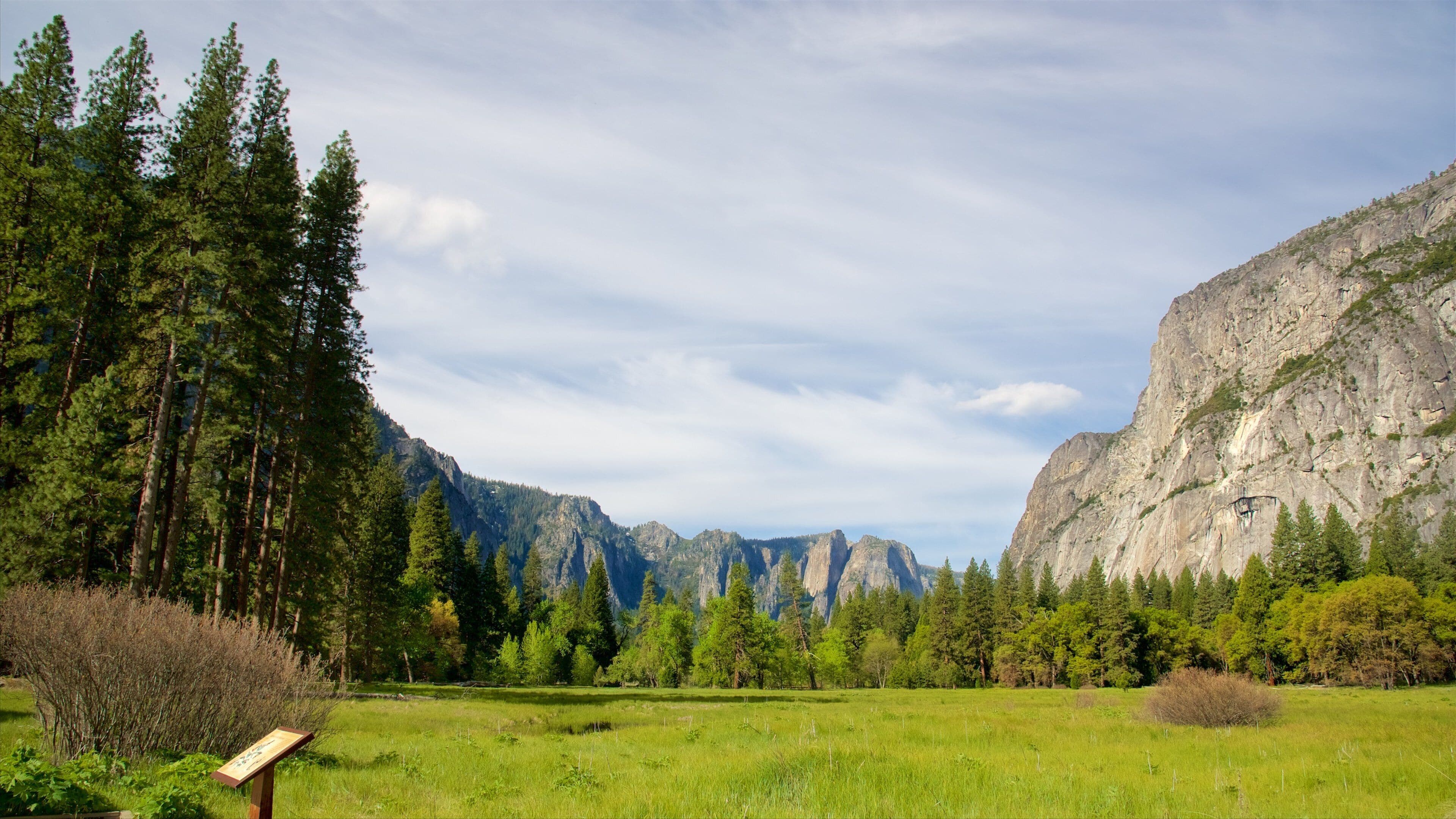 Cook\'s Meadow