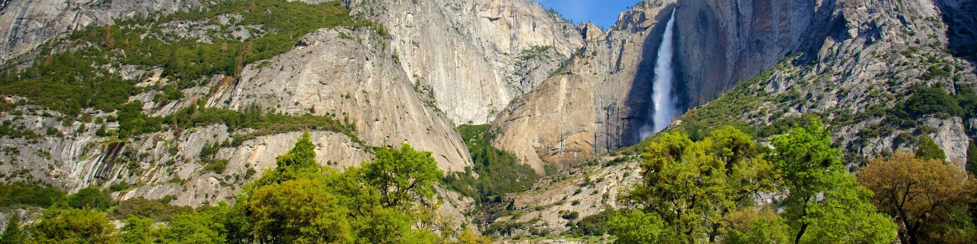 Cook\'s Meadow showing mountains and landscape views