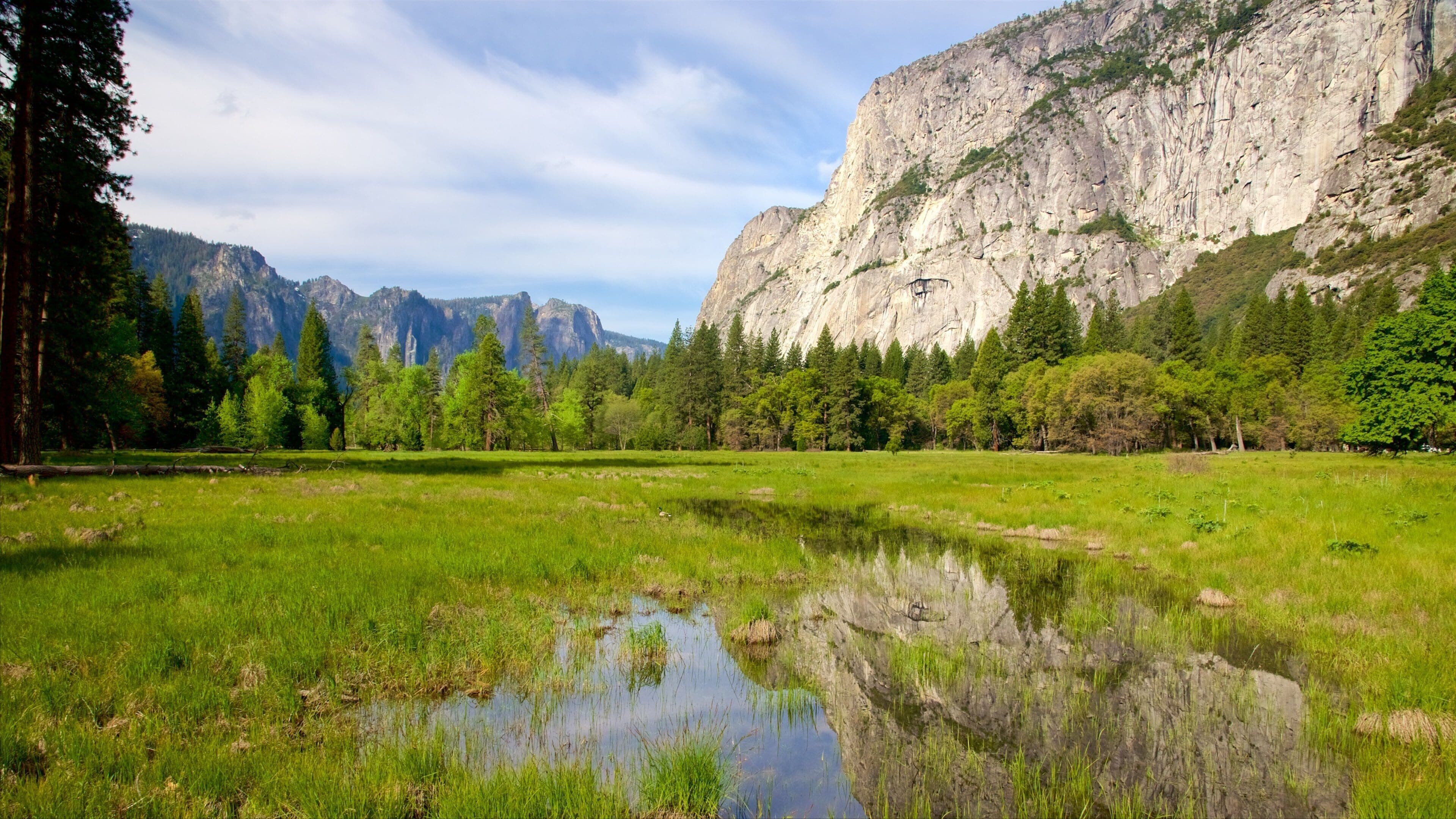 Cook\'s Meadow