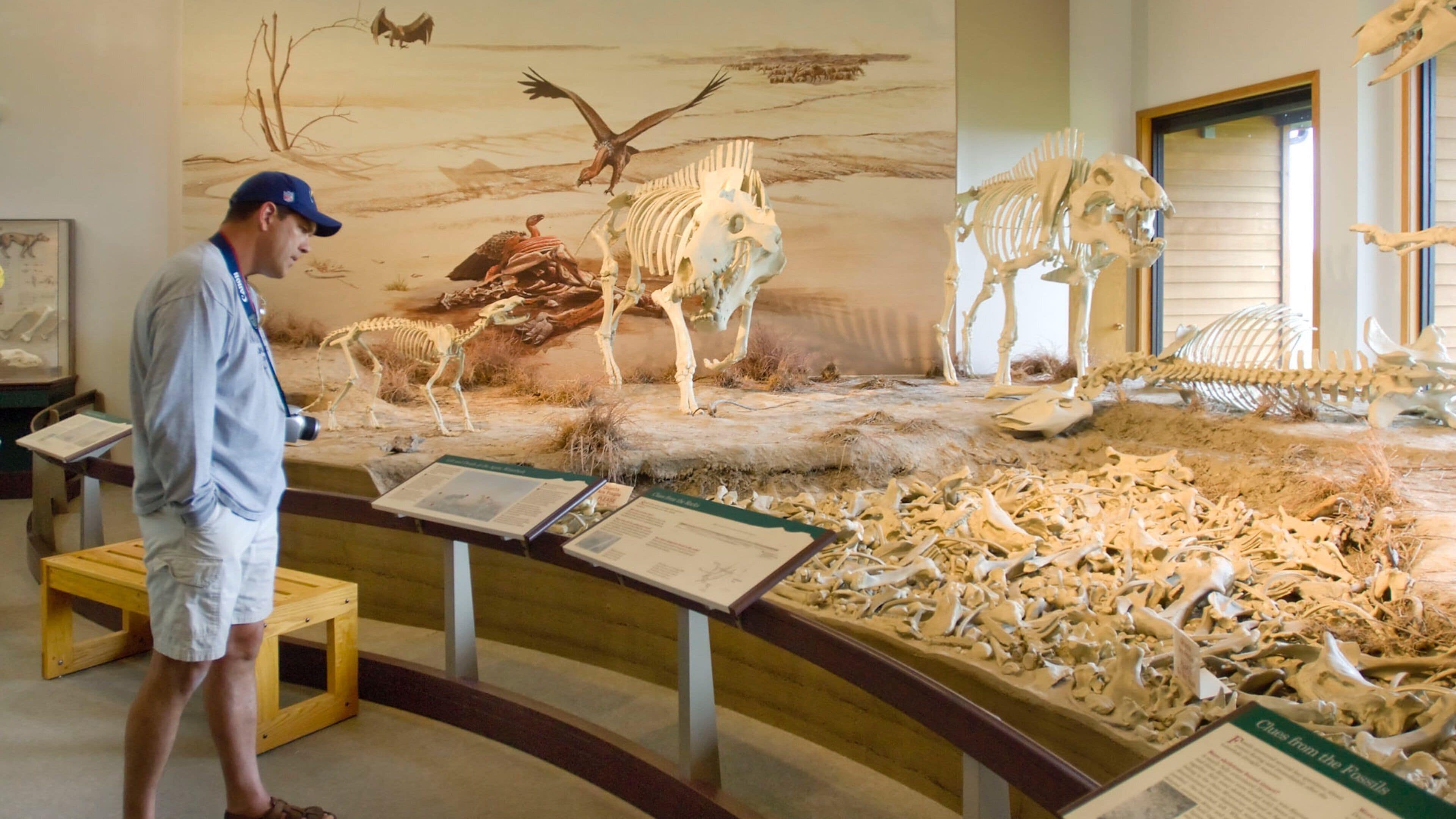 Agate Fossil Beds National Monument