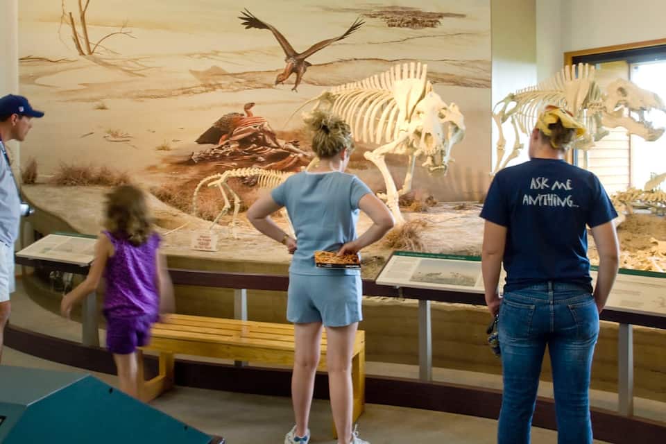 En museiutställning med dinosaurieskelett och en väggmålning som föreställer en scen från förhistorisk tid.