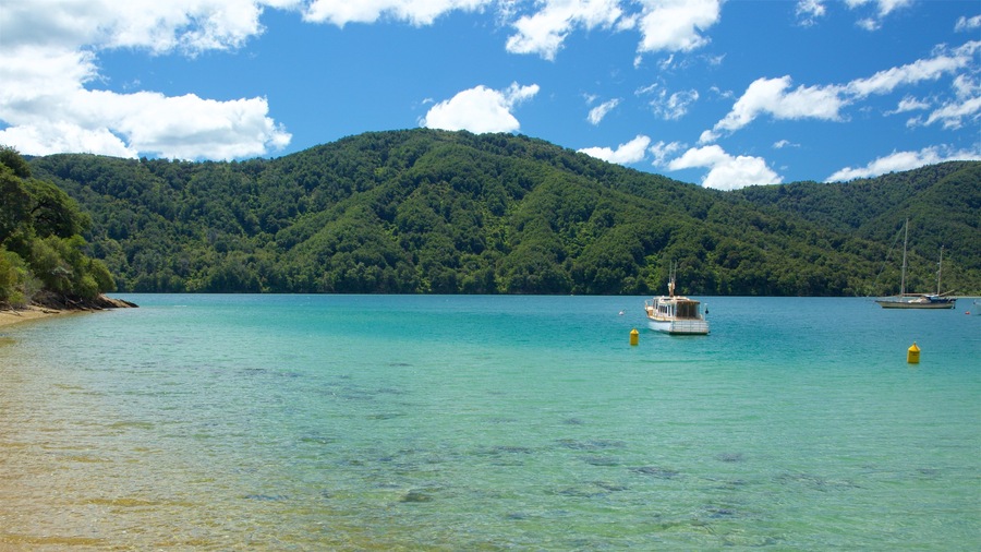 Picton showing a pebble beach, mountains and forests