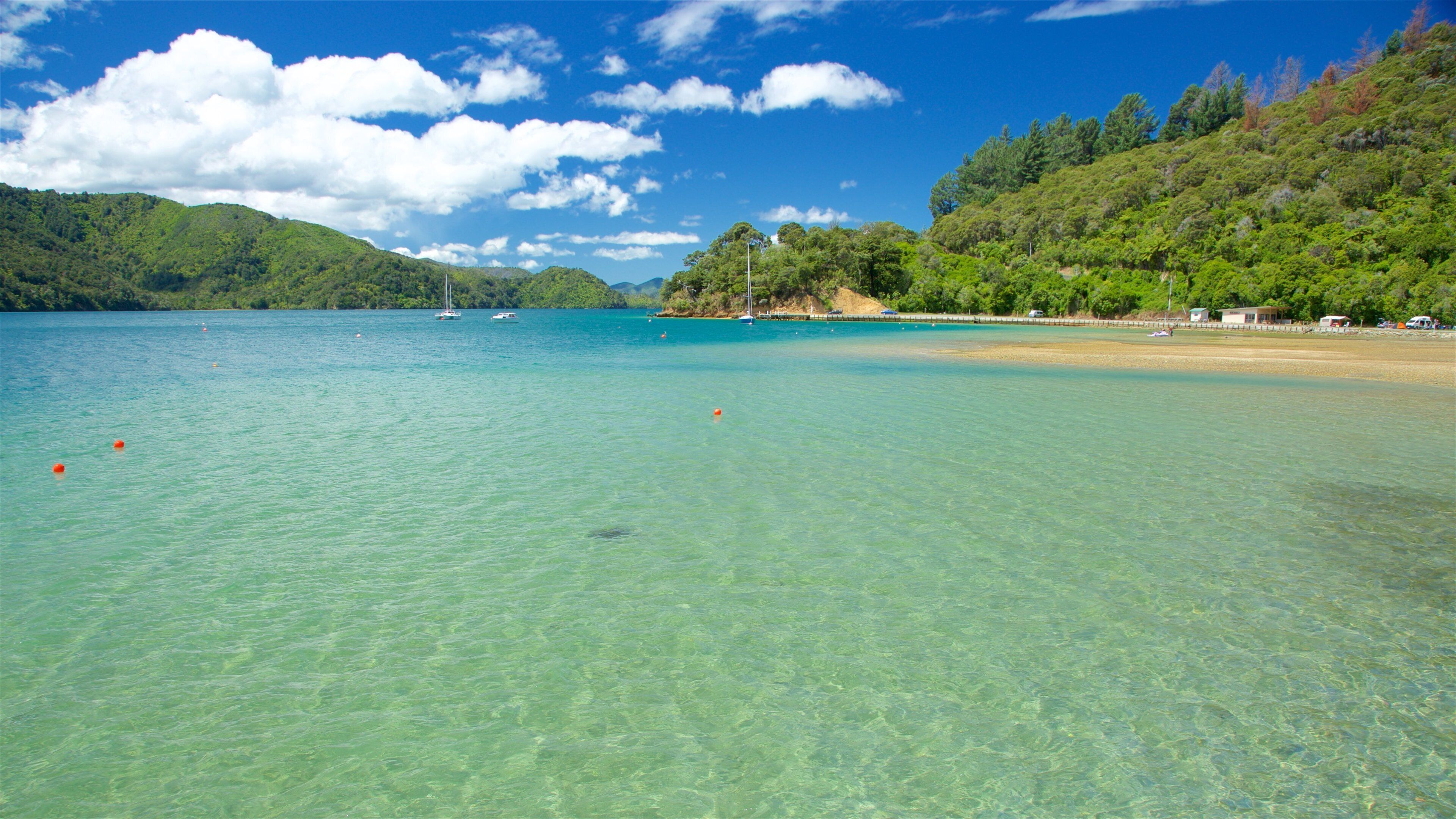 Picton showing a bay or harbor, forests and a sandy beach