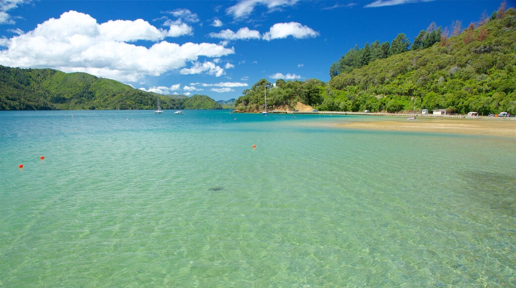 Picton showing a bay or harbor, forests and a sandy beach