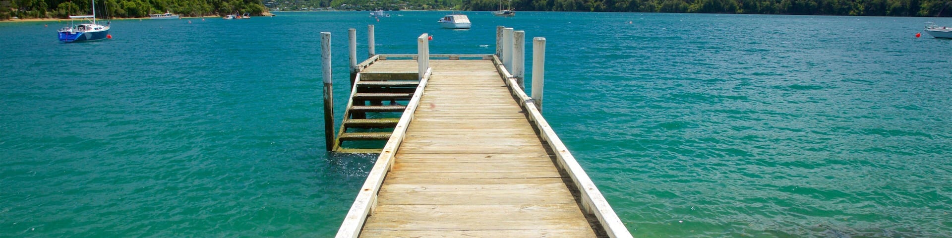 Picton which includes forest scenes, a bay or harbor and mountains