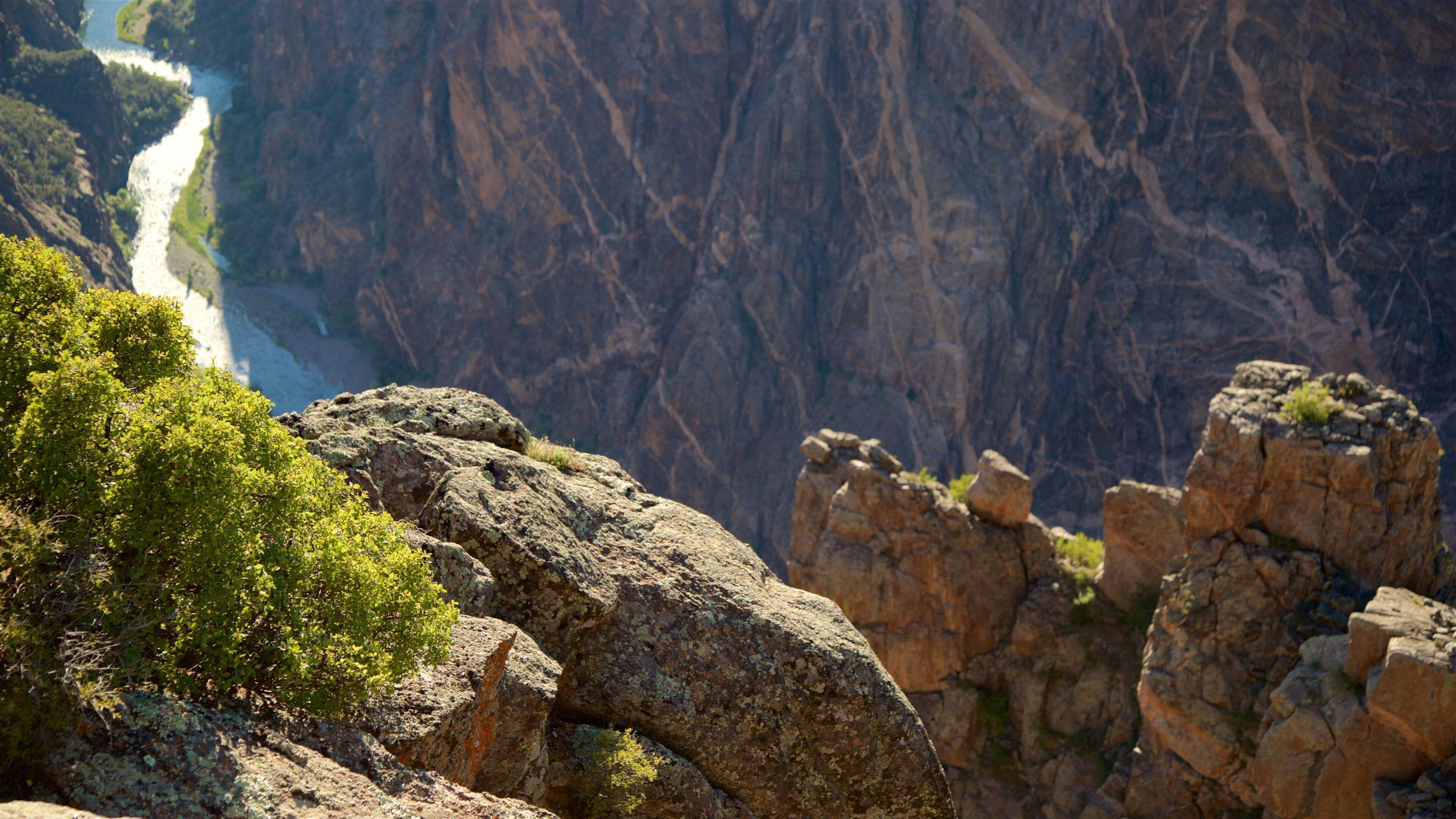 Montrose showing tranquil scenes