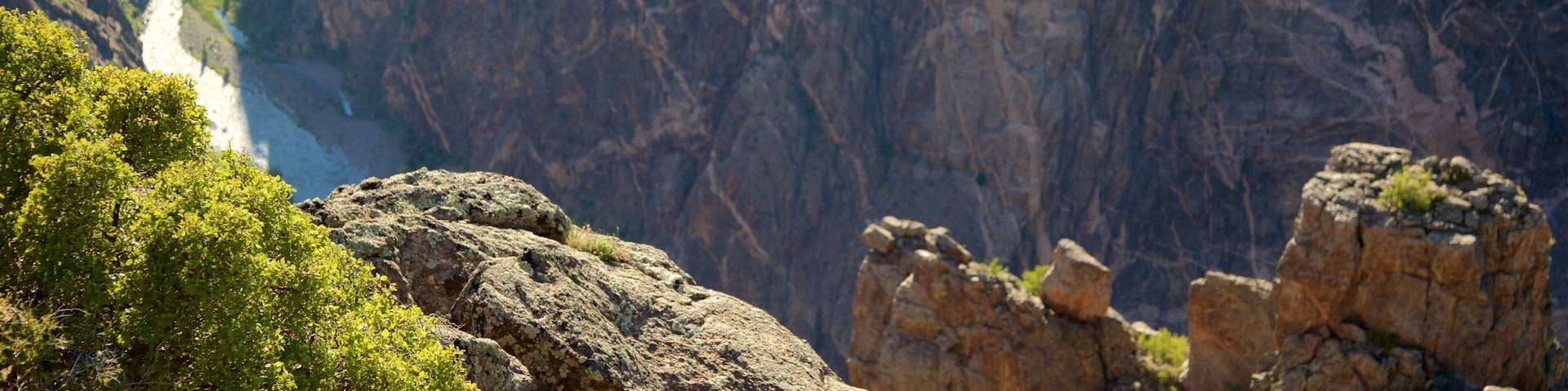 Montrose showing tranquil scenes