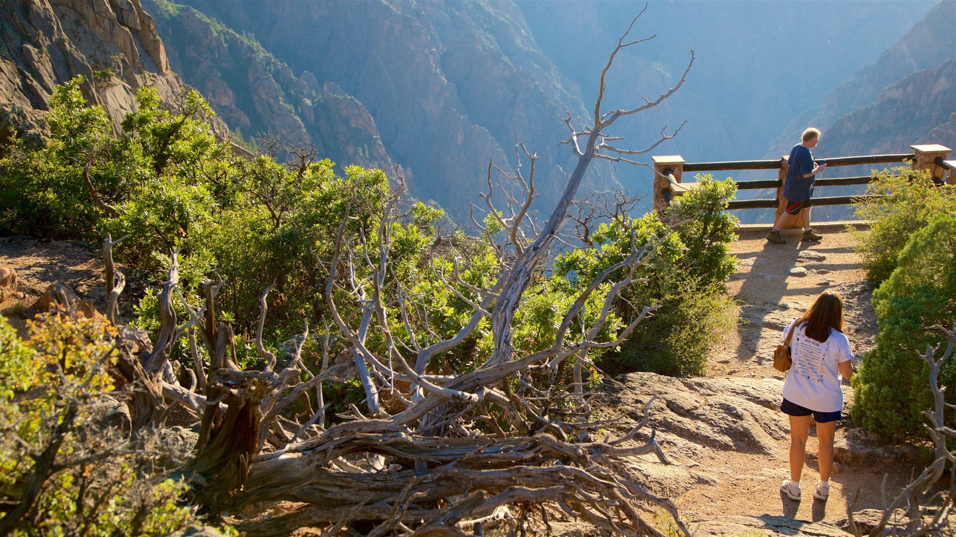 Montrose mostrando un cañón o garganta y vistas