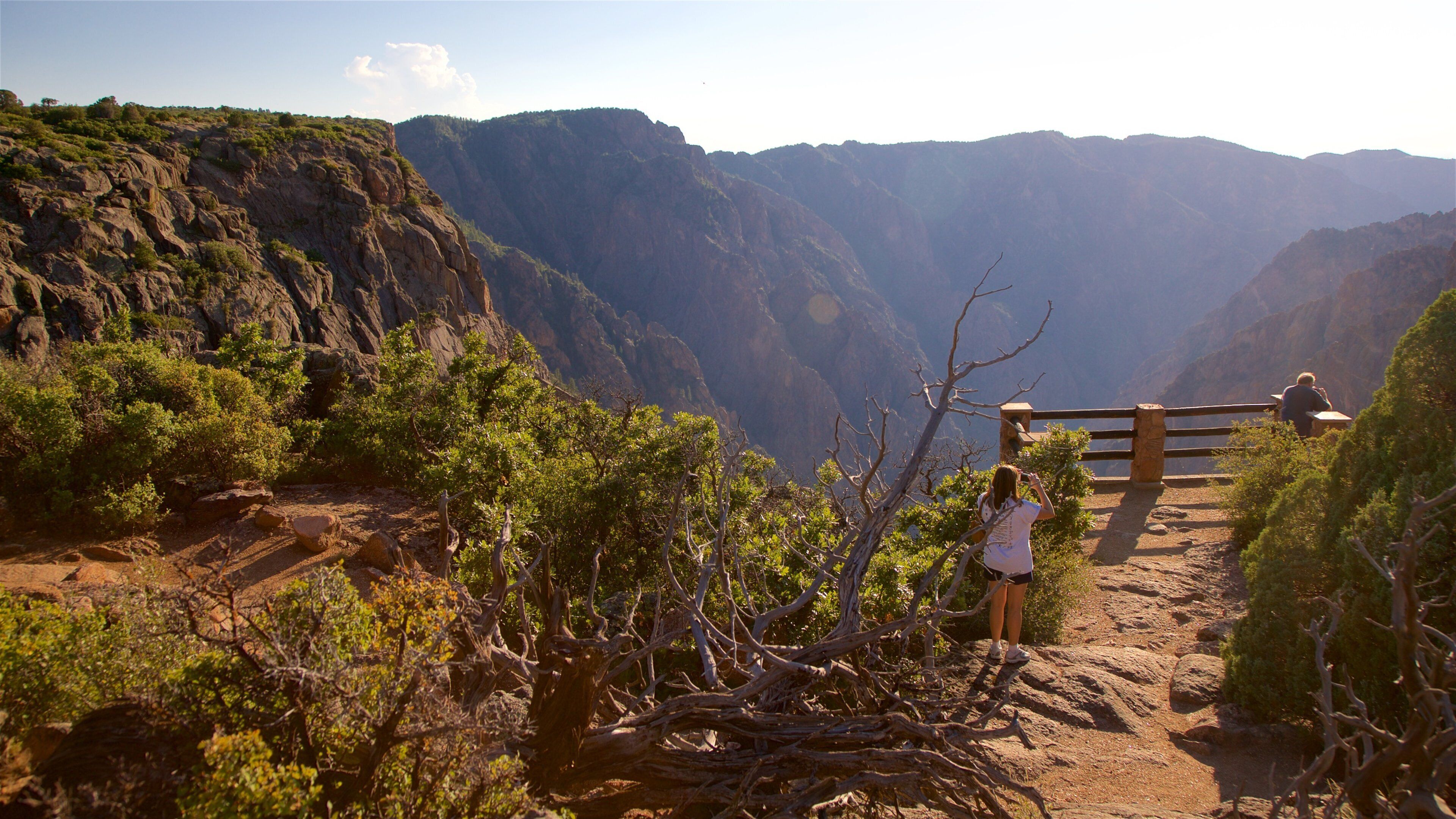 Montrose showing views, a gorge or canyon and landscape views