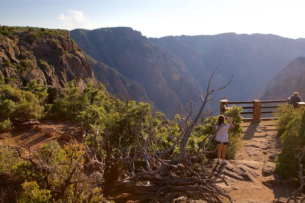 Montrose which includes a gorge or canyon, landscape views and views