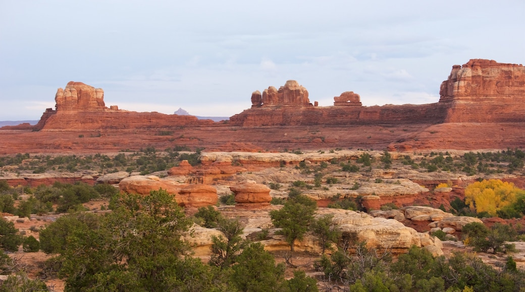 Needles District Visitor Center which includes a gorge or canyon, desert views and tranquil scenes