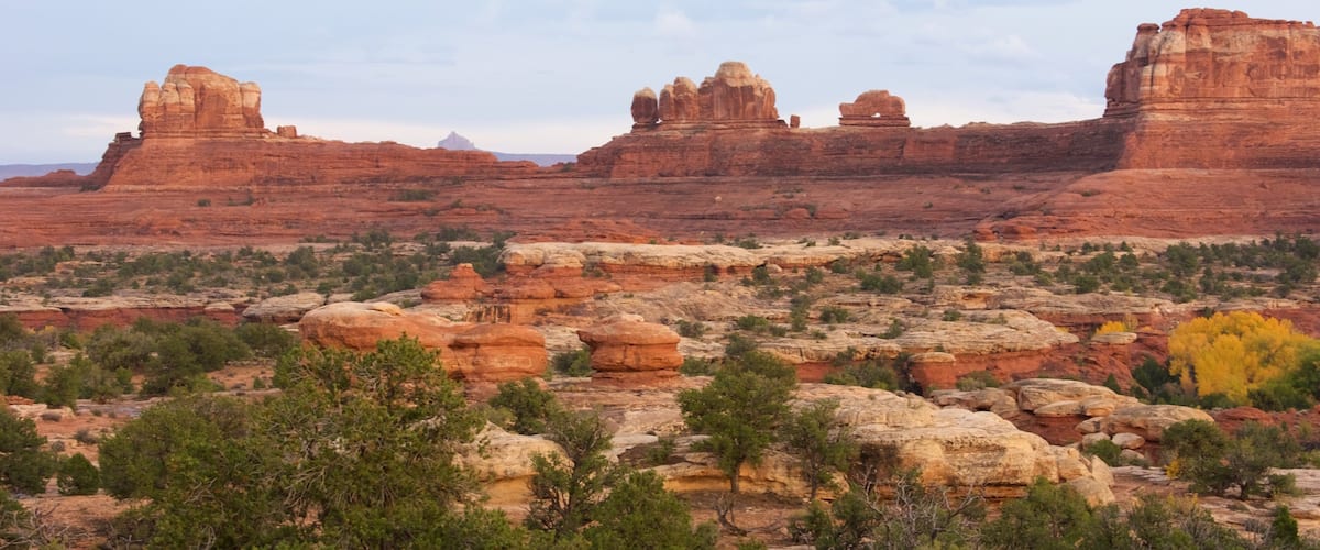 Needles District Visitor Center which includes a gorge or canyon, desert views and tranquil scenes