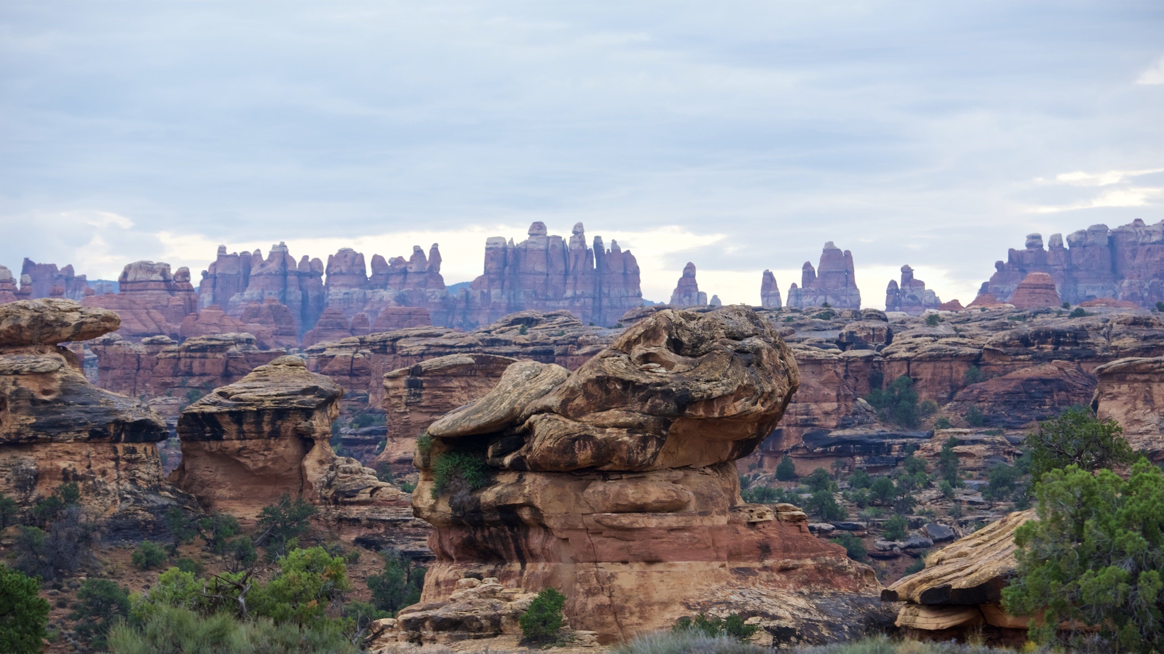 Needles District Visitor Center which includes landscape views and a gorge or canyon
