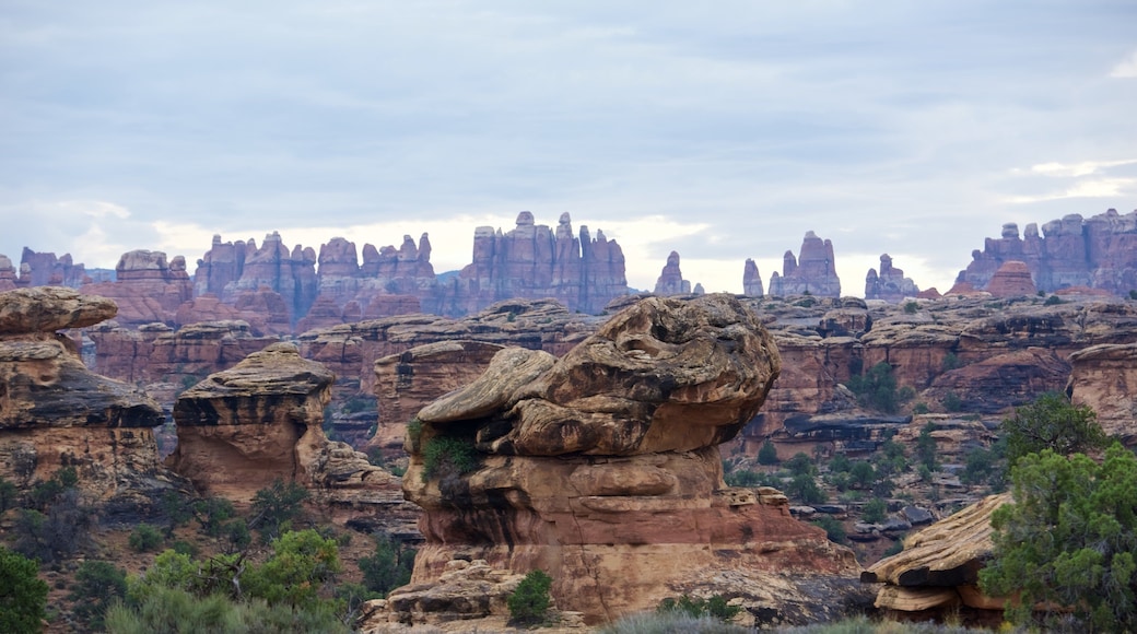 Needles District Visitor Center which includes landscape views and a gorge or canyon