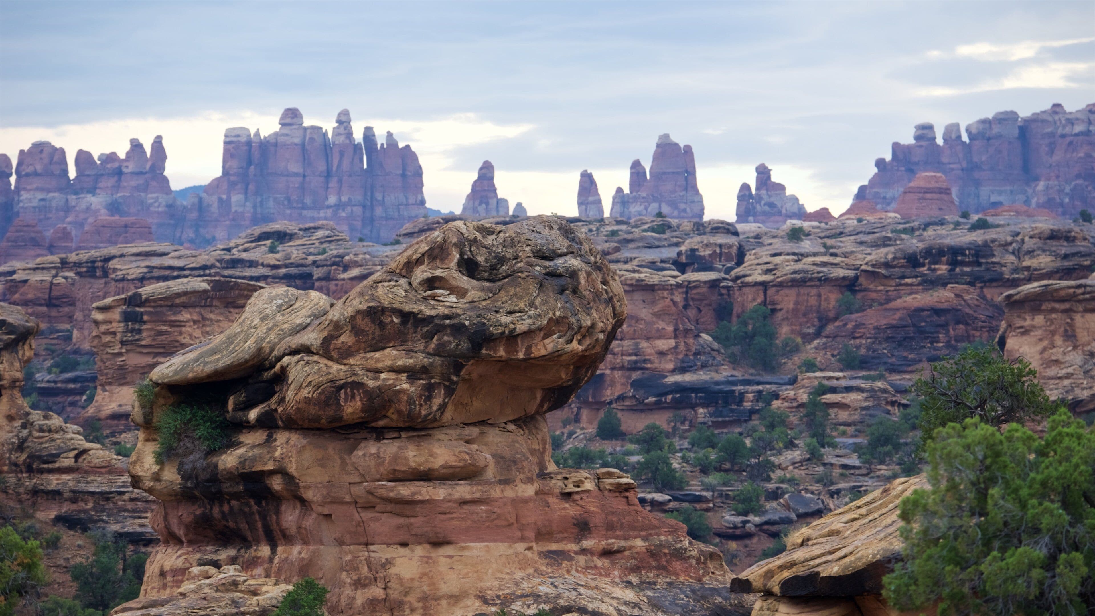 Canyonlands National Park showing a gorge or canyon, landscape views and tranquil scenes