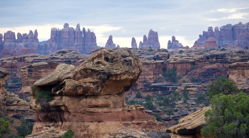 Canyonlands National Park showing a gorge or canyon, landscape views and tranquil scenes
