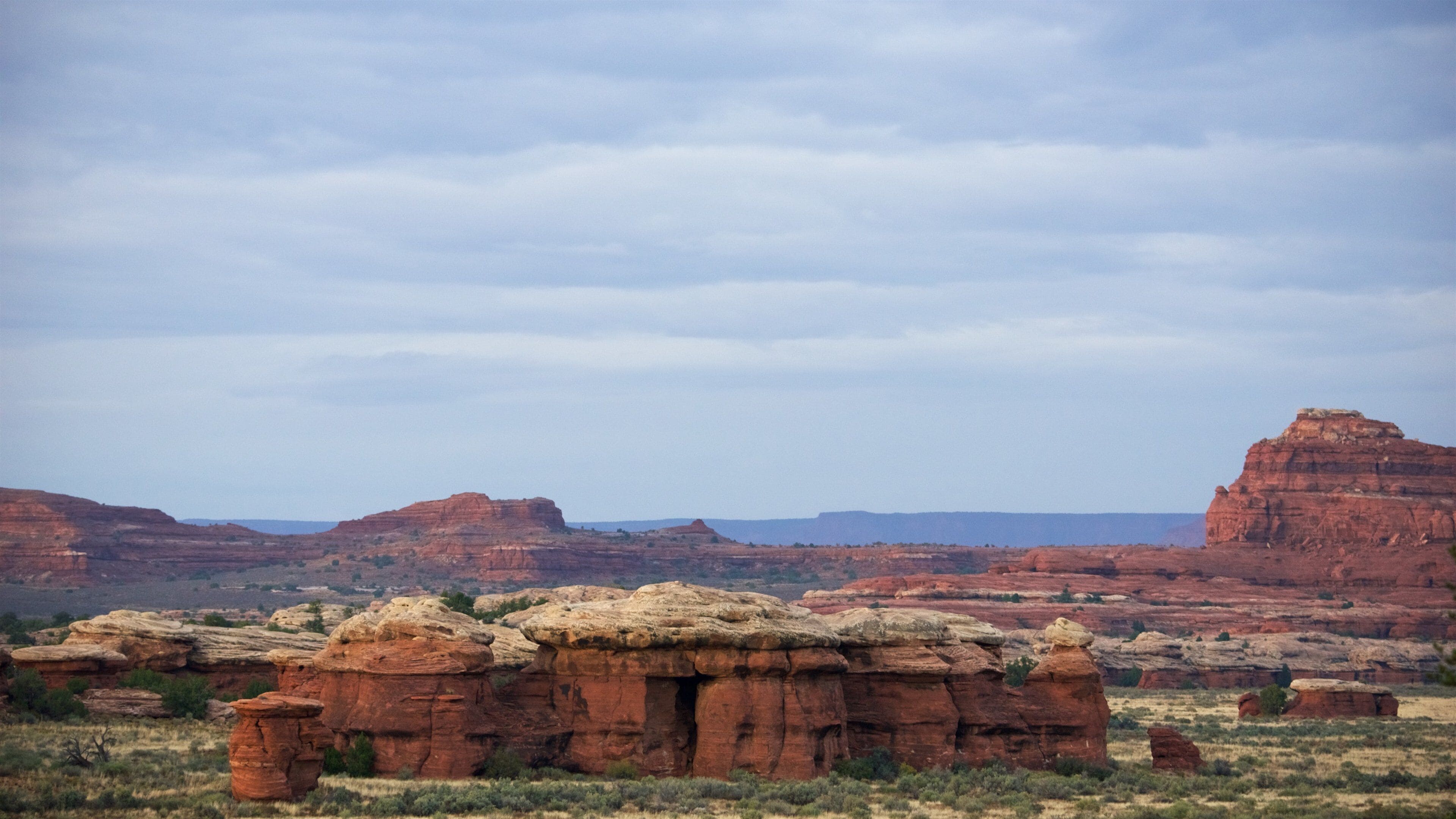 A desert landscape with red rock formations and sparse vegetation.