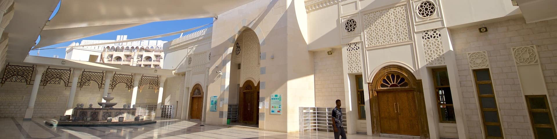 Aqaba which includes a fountain as well as an individual male