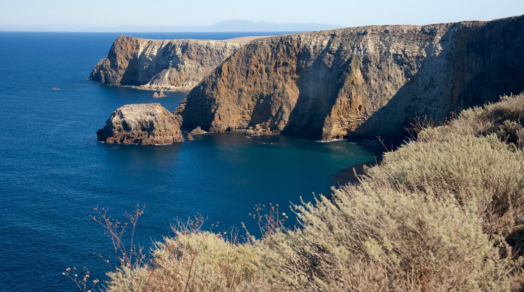 Cavern Point which includes general coastal views and rocky coastline