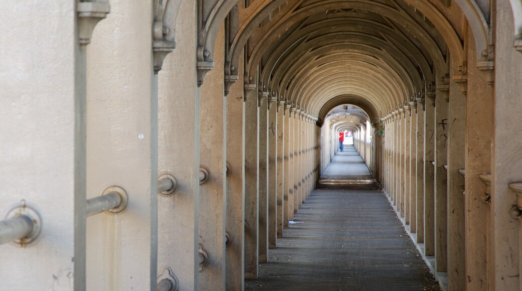 Newcastle-upon-Tyne featuring a bridge