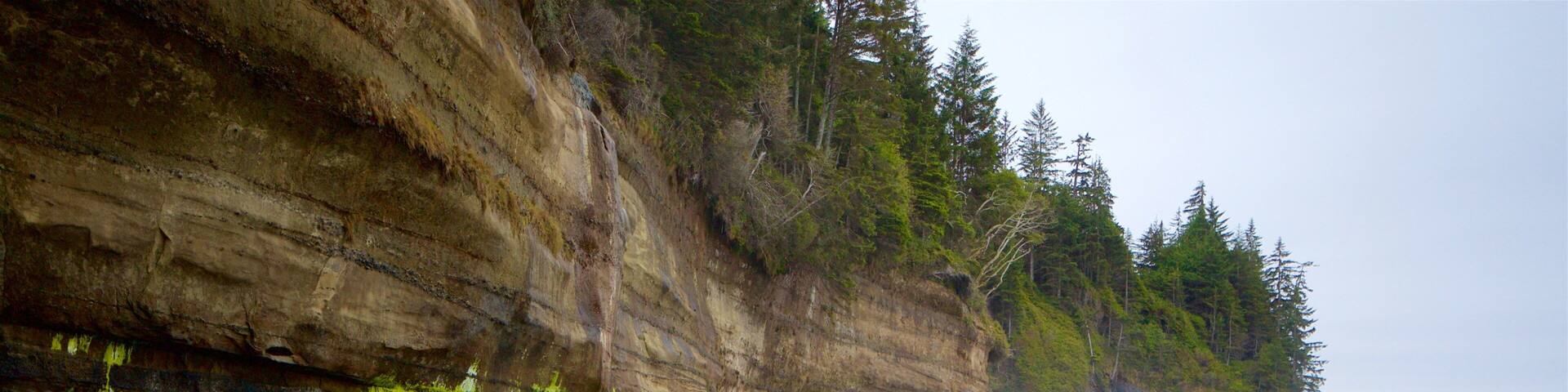 Victoria ofreciendo una playa de arena, vistas generales de la costa y costa escarpada
