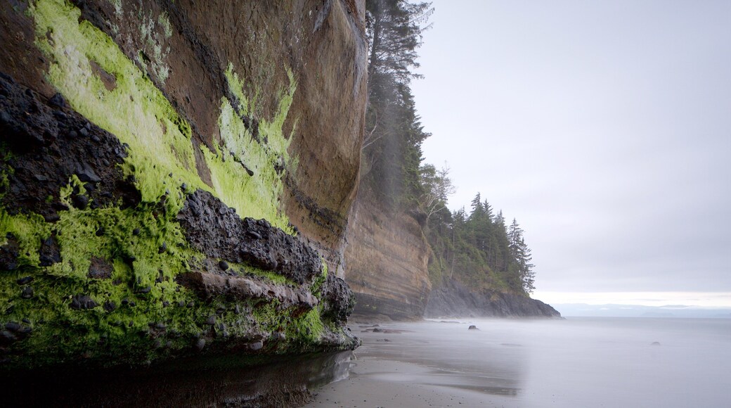 Victoria showing a beach, general coastal views and rocky coastline