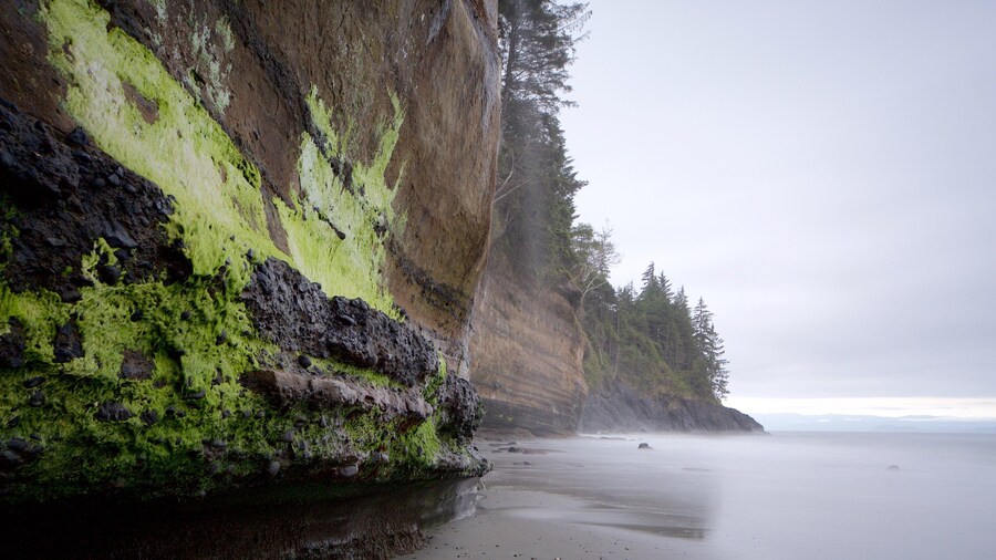 Victoria which includes general coastal views, rugged coastline and a beach