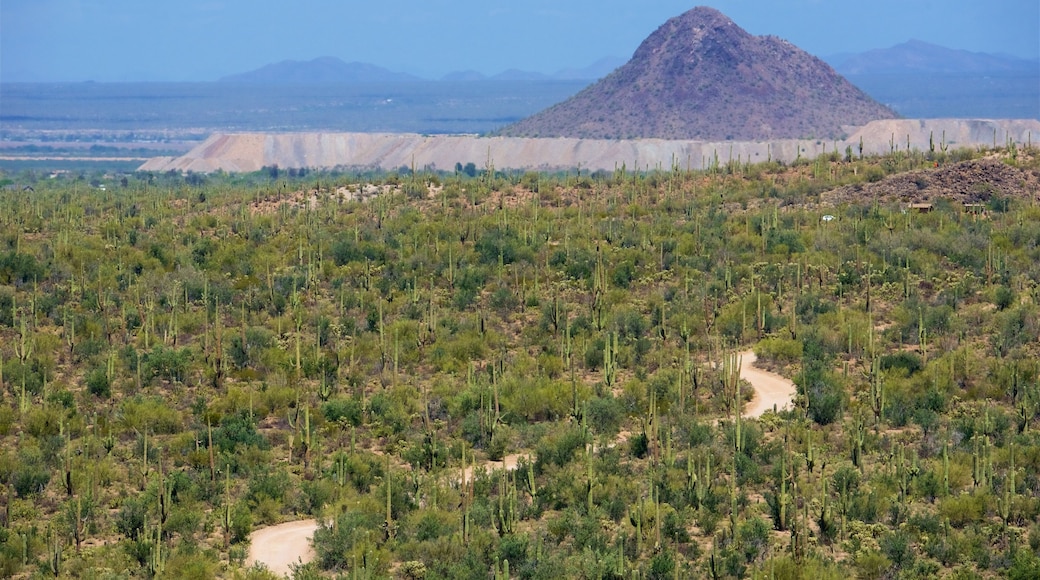 ツーソン フィーチャー 砂漠の眺め, 山々 と 静かな風景