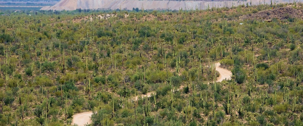 Tucson which includes desert views, tranquil scenes and mountains
