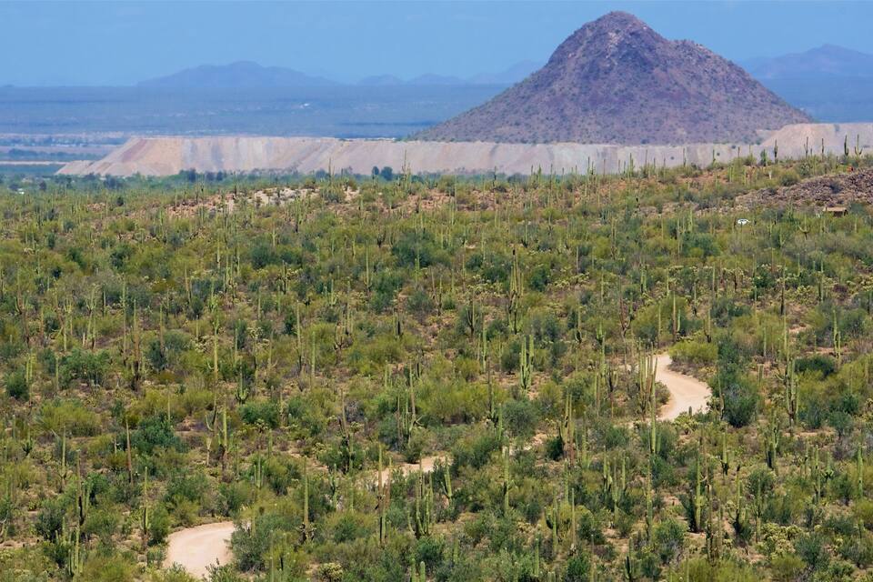 A desert landscape with cacti, a dirt road, and a mountain in the background.