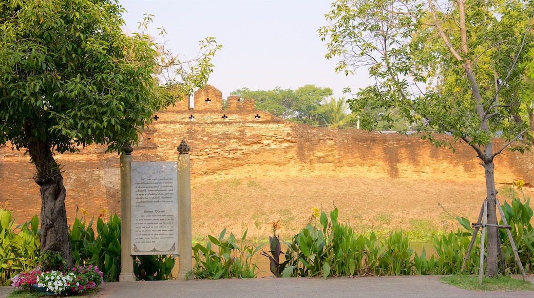 Chiang Mai inclusief een ruïne en bewegwijzering