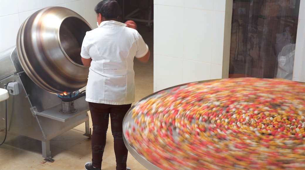 Mexico som omfatter interiør og mad såvel som en kvinde