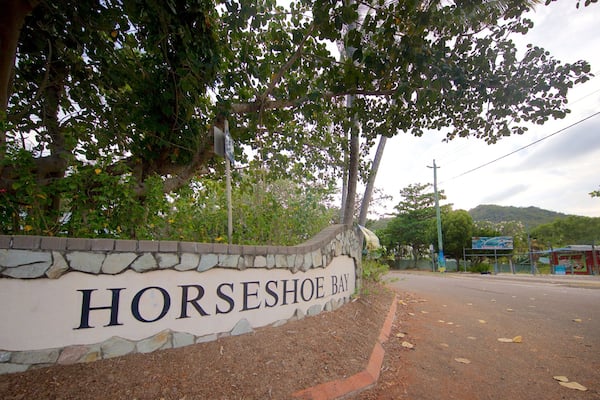 Horseshoe Bay showing a small town or village and signage